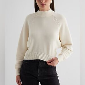 Express Velvet Mock Neck Long Sleeve Sweater